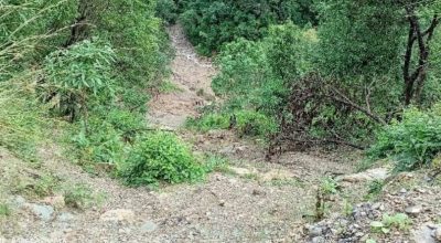 सल्यानमा जीप दुर्घटना