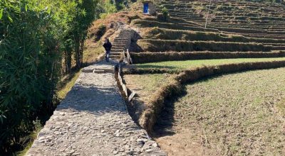 पदमार्ग निर्माण