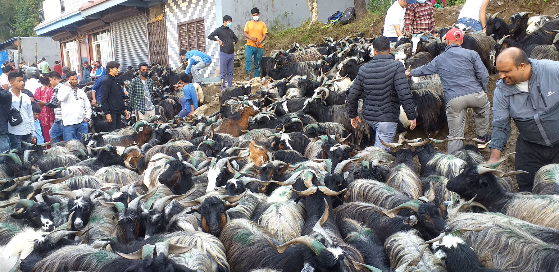 च्याङ्ग्रा निकासी