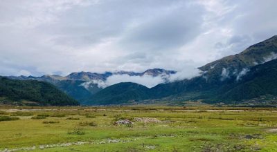 ढोरपाटन