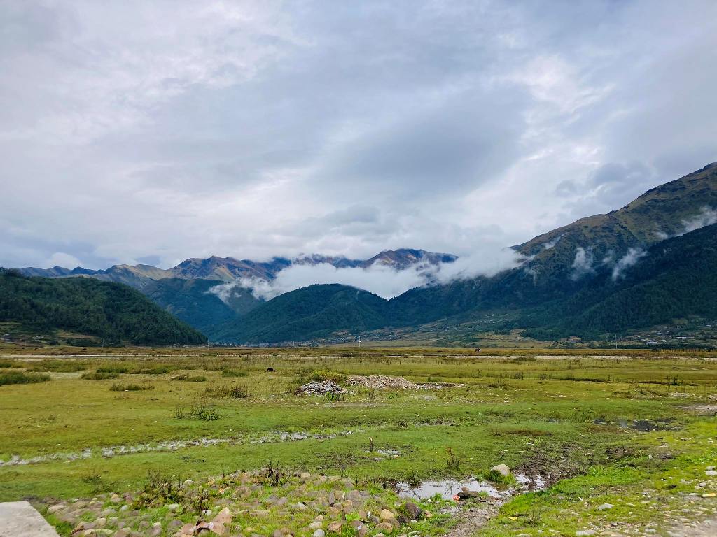 ढोरपाटन