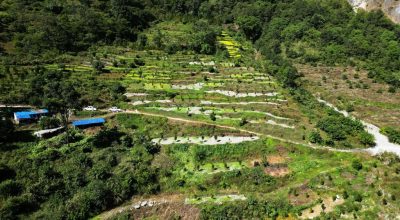 सामूहिक सुन्तला खेती