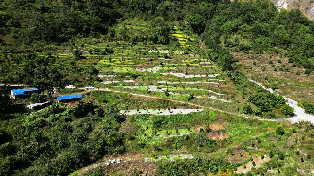 सामूहिक सुन्तला खेती