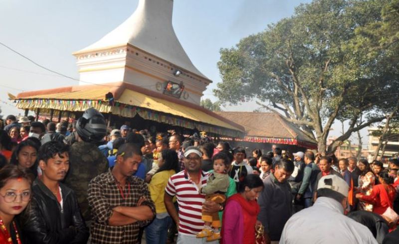 तलेजु जात्रा