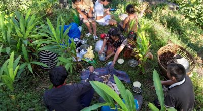 अलैँची टिप्न किसानलाई चटारो, बगानमै मनाए दसैँ