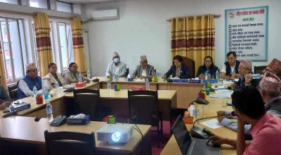 राष्ट्रिय सरोकार समिति