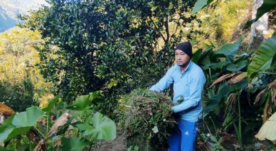 सुमन प्रधान