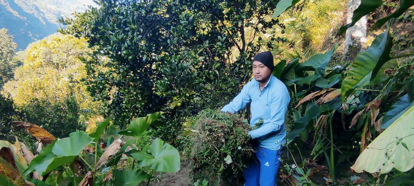 सुमन प्रधान