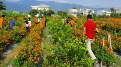 भरत केसी