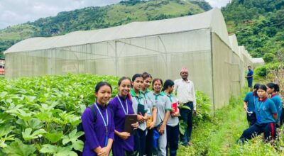 कृषिकर्म