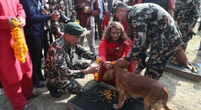 कुकुर तिहार