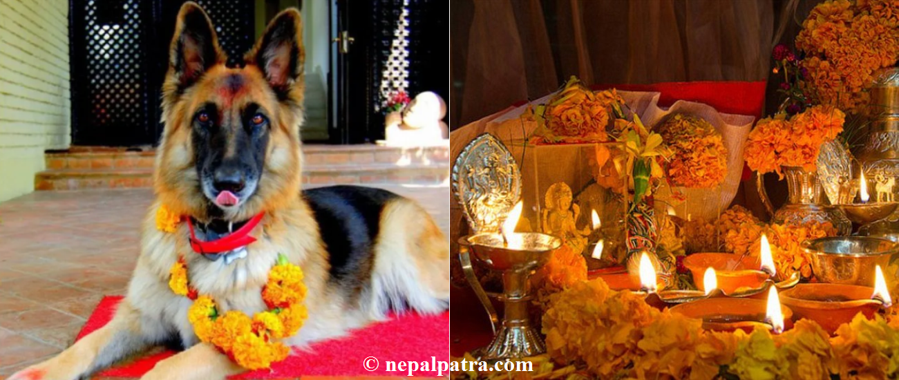 कुकुरतिहार र लक्ष्मीपूजा