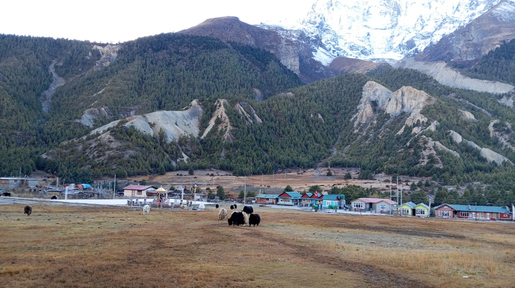 बेँसी सारिँदै गोठ