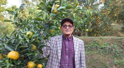 सुन्तला पौरख