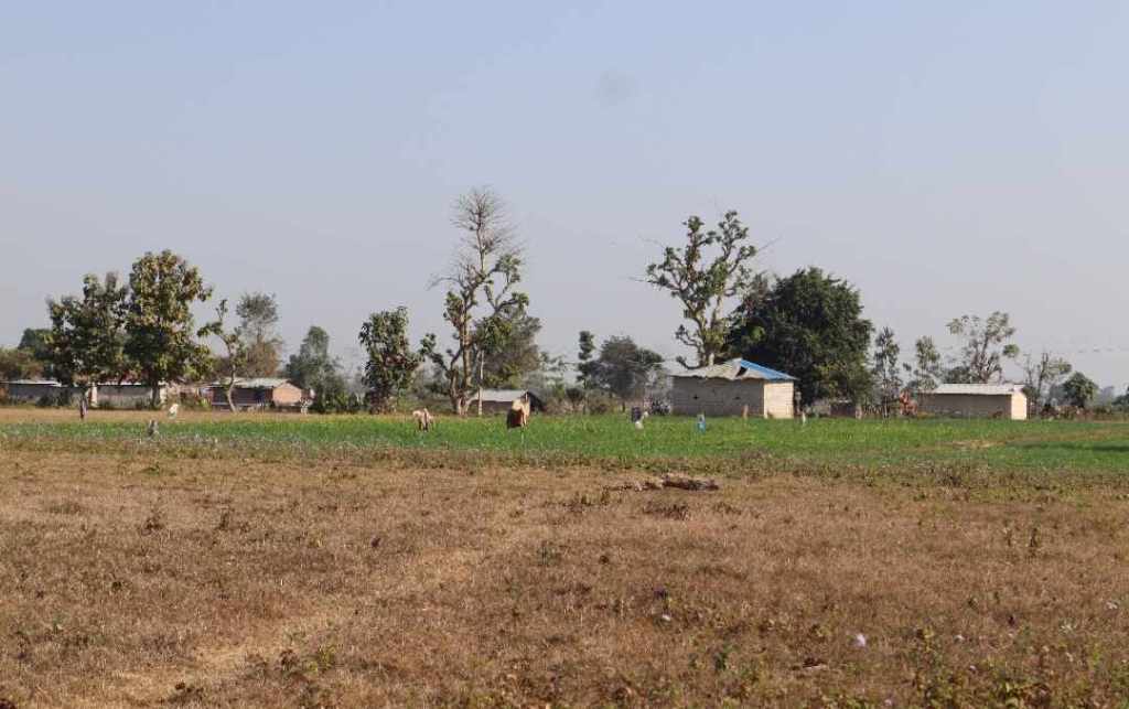 बडुवालवासी