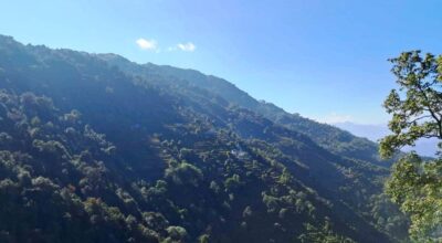 टाङको भरङ्गे