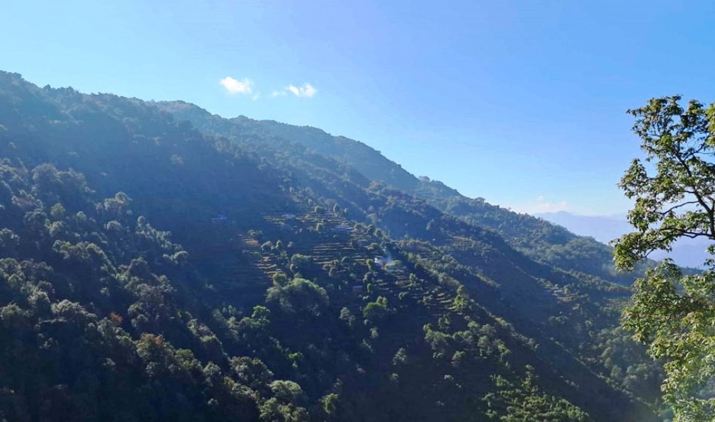 टाङको भरङ्गे