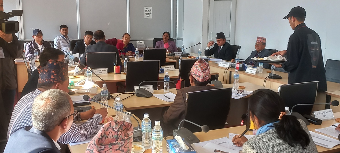 विधायन व्यवस्थापन समिति