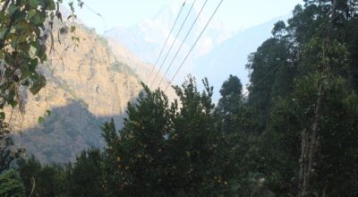 सुन्तलाको बगैँचा