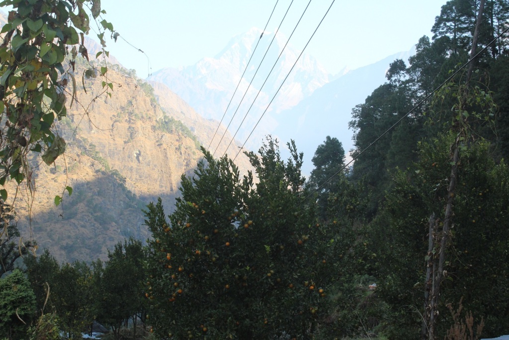 सुन्तलाको बगैँचा