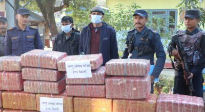 ४ क्विन्टल गाँजा