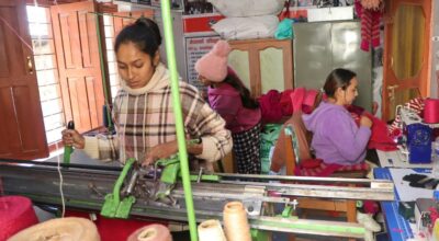 गृहिणीको जीवनशैली