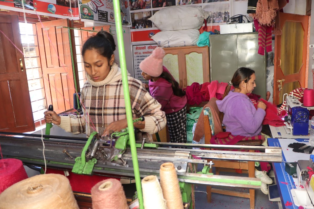 गृहिणीको जीवनशैली