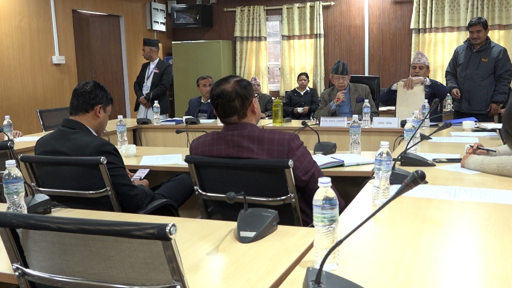 संसदीय सुनुवाइ समिति