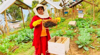 मौरीपालन व्यवसाय