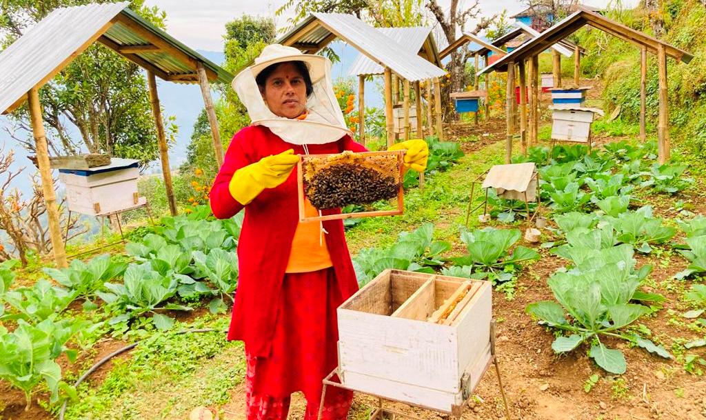 मौरीपालन व्यवसाय