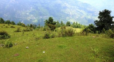 म्याग्दीको सौरबोट