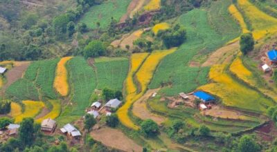 सुर्खेत झ्याजेटोल