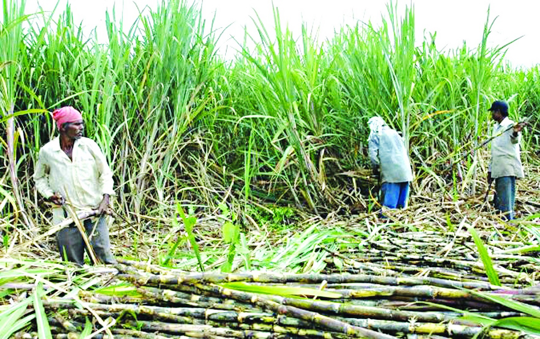 उखु किसान