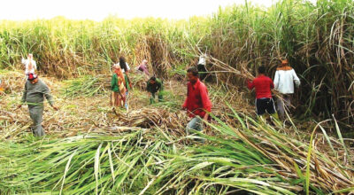 उखु किसान