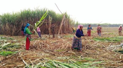 उखु किसान