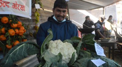 ९ किलोको काउली