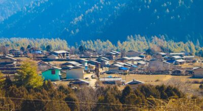 ढोरपाटन