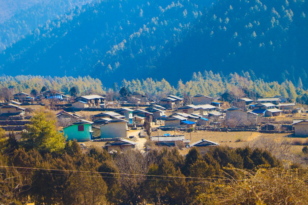 ढोरपाटन