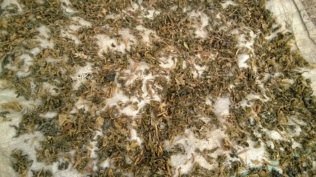 गुन्द्रुक