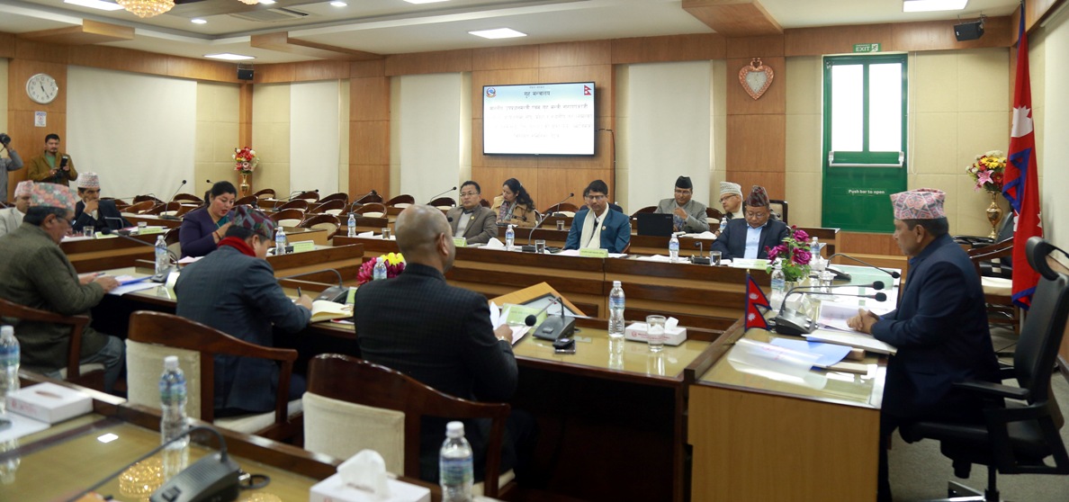 गृहमन्त्री नारायणकाजी श्रेष्ठ प्रदेश गृहमन्त्रीहरुसंग