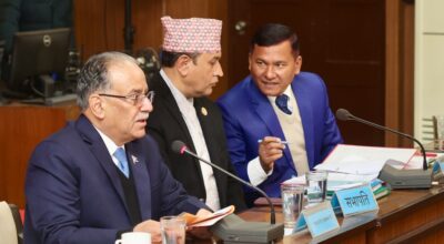 राज्य व्यवस्था तथा सुशासन समिति