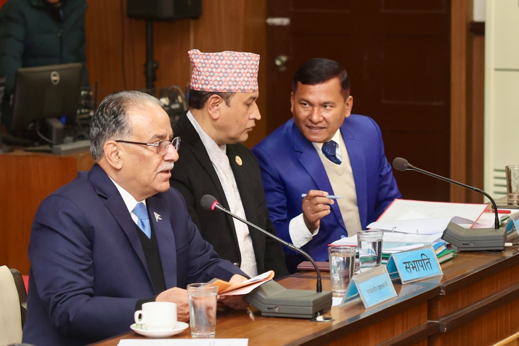 राज्य व्यवस्था तथा सुशासन समिति