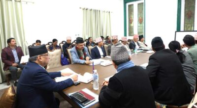 प्रधानमन्त्रीको निर्देशन