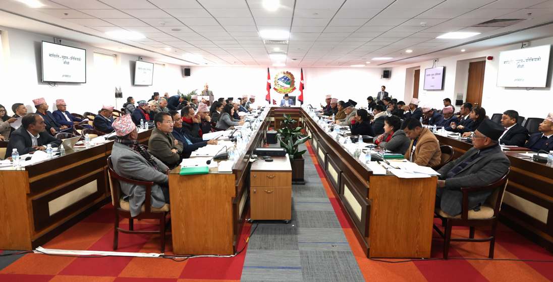 कार्यविस्तृतीकरण परिमार्जन