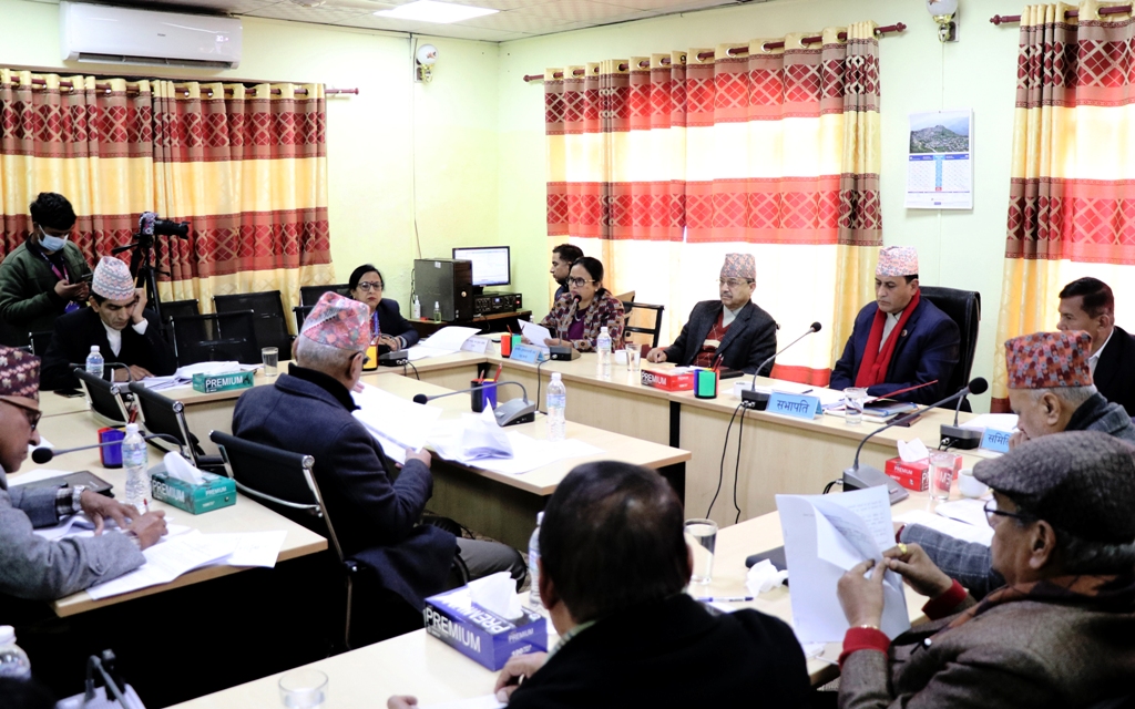 राज्यव्यवस्था तथा सुशासन समिति