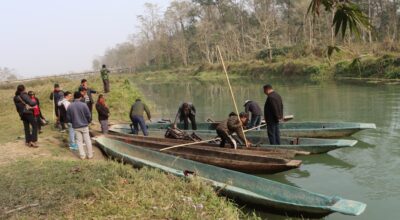 सौराहा डुङ्गा शयर