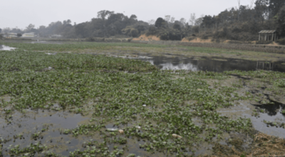 टरुवा ताल