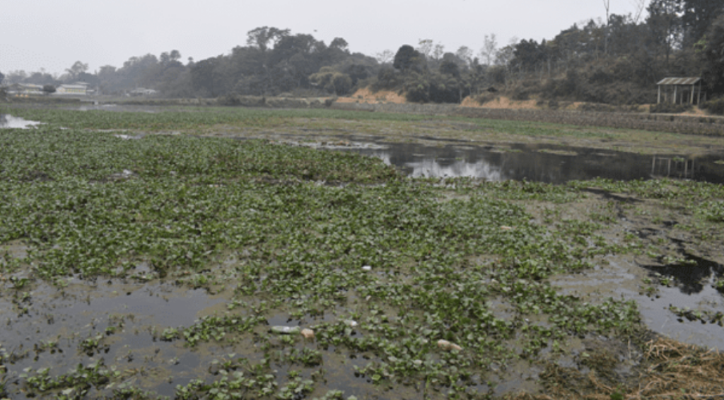 टरुवा ताल