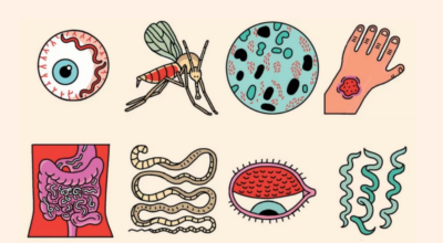 उपेक्षित उष्णप्रदेशीय रोग