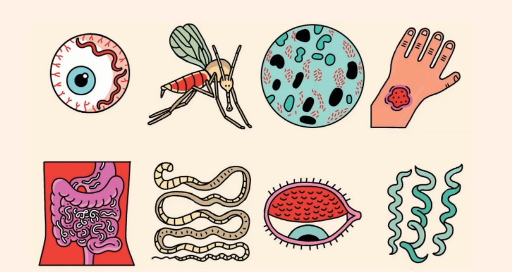 उपेक्षित उष्णप्रदेशीय रोग